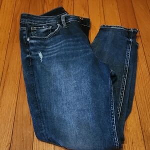 Silver Jeans Avery Skinny Crop.